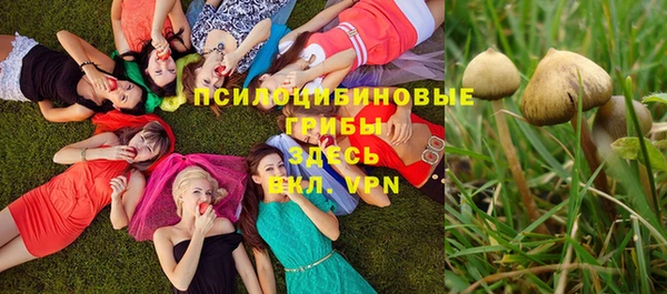 Альфа ПВП Зеленодольск