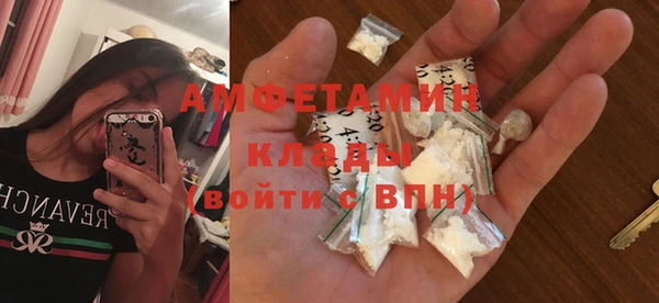 ГАЛЛЮЦИНОГЕННЫЕ ГРИБЫ Осинники