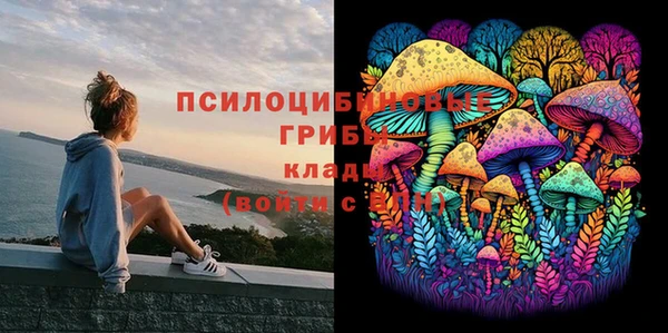 амф Осташков
