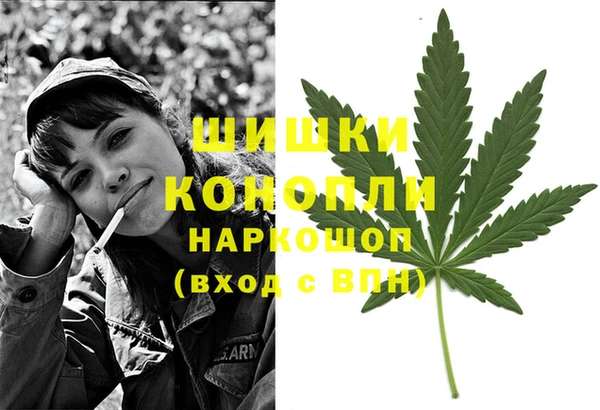 мяу мяу кристалл Няндома