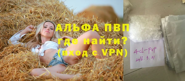 ГАЛЛЮЦИНОГЕННЫЕ ГРИБЫ Осинники