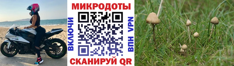 наркошоп  Котово  Галлюциногенные грибы GOLDEN TEACHER 